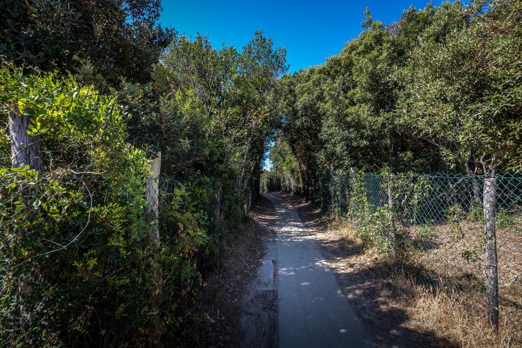 Camping Internazionale Etruria Castiglione della Pescaia Luaran gambar
