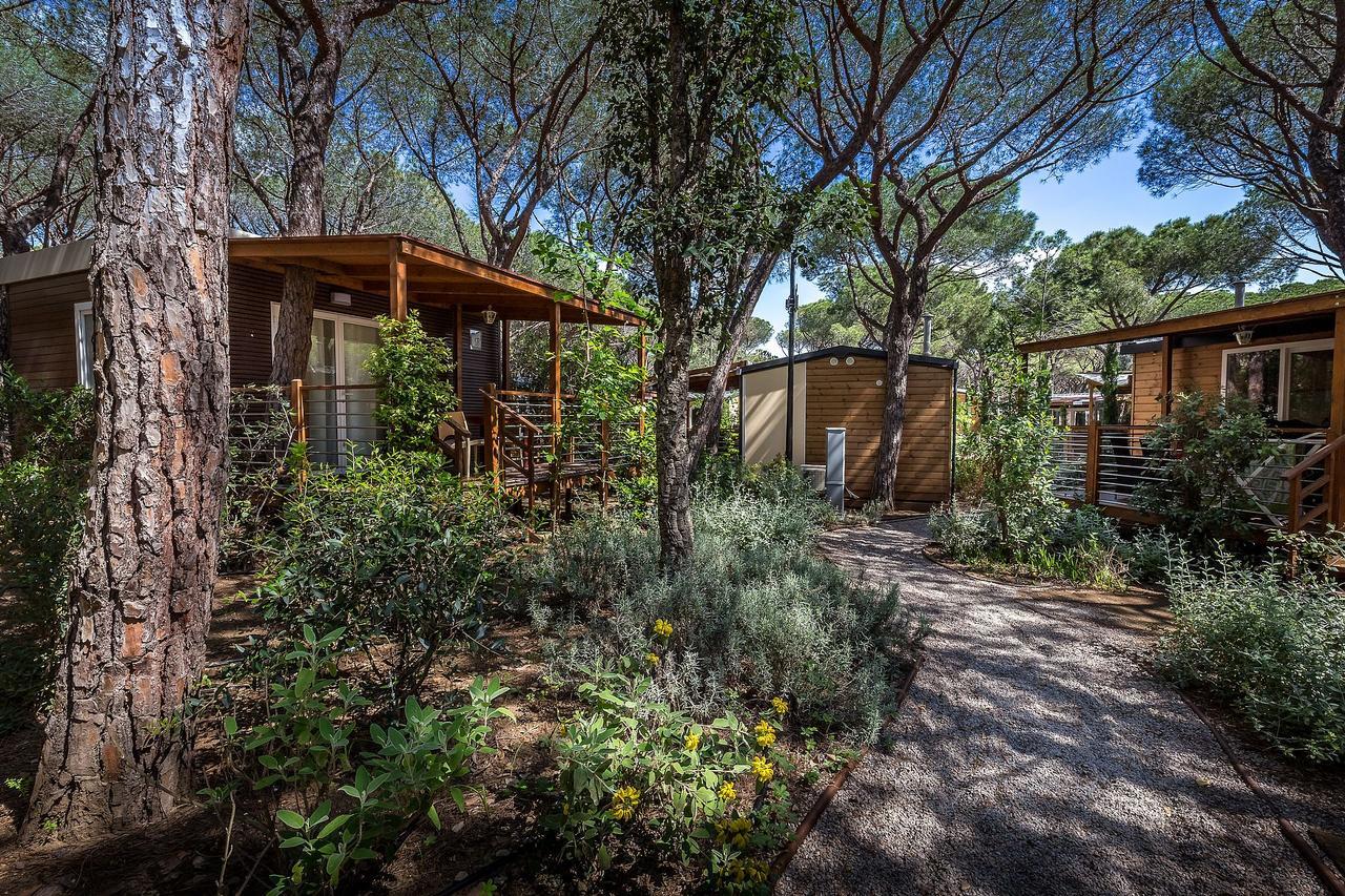 Camping Internazionale Etruria Castiglione della Pescaia Luaran gambar